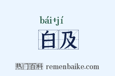 白及是什么意思的图片